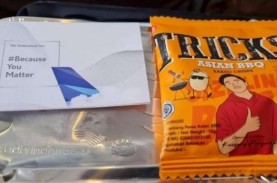 Snack Gambar Kaesang di Pesawat Garuda, Gibran: Itu…