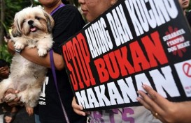 Wali Kota Malang Terbitkan SE Larangan Perdagangan Daging Anjing