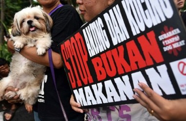 Wali Kota Malang Terbitkan SE Larangan Perdagangan Daging Anjing
