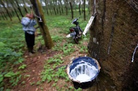 PT Perkebunan Sumatera Utara Terancam Dijual, Begini…
