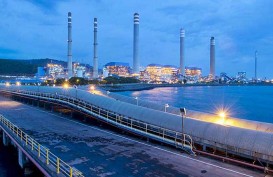 Pemerintah Minta PLN dan IPP Gunakan Campuran Biomassa di PLTU