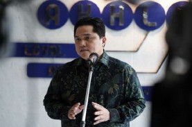 Erick Thohir Targetkan Holding PLN Rampung Tahun Ini,…