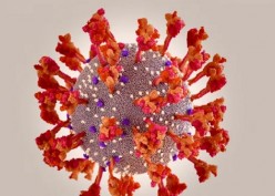 Srudi : Orang Terinfeksi Covid-19 Masih Punya Virus Aktif Selama Lebih dari 10 Hari