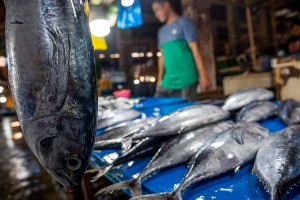 Cuaca Buruk Membuat Pasokan Ikan Laut di Pasar Berkurang Drastis