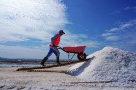 Gapmmi: Industri Mamin Serap 150.000 Ton Garam Lokal Tahun Lalu