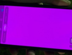 Pengguna iPhone 13 Keluhkan Pink Screen, Apa Itu?