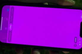 Pengguna iPhone 13 Keluhkan Pink Screen, Apa Itu?