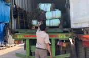 Ekspor Rumput Laut Batam 2021 Naik 500 Persen, China Jadi Negara Tujuan Dominan