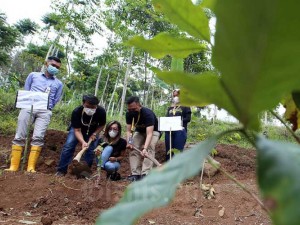 Bank BJB Lakukan Penanaman Bibit Pohon Kopi Di Kawasan Perbukitan Kaki Gunung Manglayang