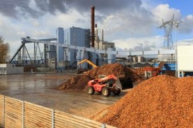 Hore! Kini RI Bisa Ekspor Produk Biomassa ke Jepang…