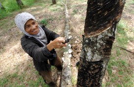 Nilai Tukar Petani Riau Turun 1,50 Persen per Januari 2022, Dipengaruhi Sembako Mahal