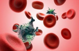 Peneliti Temukan Varian HIV Sangat Mematikan di Belanda 