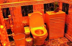 5 Toilet Termahal di Dunia, Ada yang Harganya Mencapai Rp273 Miliar!