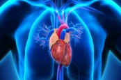 Penyintas Covid-19 Berisiko Kena Penyakit Kardiovaskular hingga Setahun Setelah Sembuh