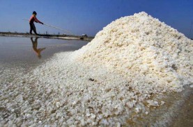 Rangkuman Data Seputar Produksi & Impor Garam Indonesia