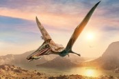 Pterosaurus Jurassic Terbesar di Muka Bumi Ditemukan di Skotlandia
