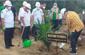 Sinarmas Dukung Peremajaan Sawit Rakyat Seluas 2.100 Ha di Riau