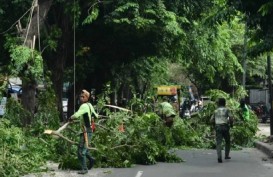 Cuaca Jakarta Hari Ini, BMKG: Waspada Potensi Angin Kencang!