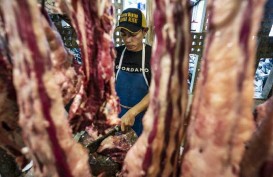 Bulog Impor 20.000 Ton Daging Beku, Penuhi Kebutuhan Pasar