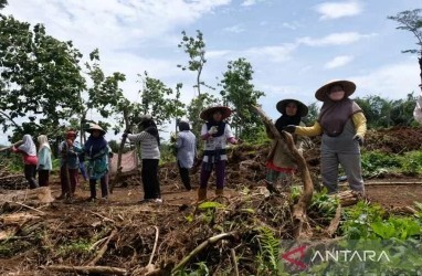 Tol Bawen-Yogyakarta, Warga Mendapat Hibah Empat Hektare 