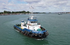 Hasnur Shipping (HAIS) Dapat Kontrak Angkut Batu Bara ke Vietnam