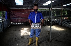 Olahan Limbah Organik Inalum, Bantu Tingkatkan Omset Bisnis Kecil Saat Pandemi