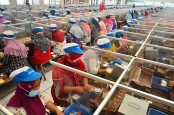 Tarif CHT Naik, Konsumsi Rokok Murah Makin Tak Terbendung