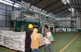 Sistem Resi Gudang Terus Berkembang di Indonesia, Muncul Peluang Bisnis Baru?