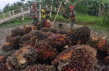 Harga Sawit Riau Anjlok 12,27 Persen, Pekan Ini Dijual Rp3.723,81 per Kg
