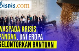 Indonesian Uni Eropa Beri Bantuan 500 Juta Euro Untuk Ketahanan Pangan