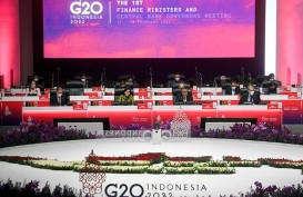 5 Topik Ini Jadi Pembahasan di 3rd IFAWG G20