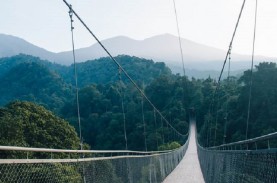 Melihat Keindahan Situ Gunung di Sukabumi, Ada Jembatan…