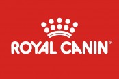 Duh! Harga Royal Canin Naik per April 2022, Ini Sebabnya
