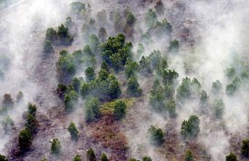 Ratusan Hektare Lahan Riau Sudah Terbakar, Ribuan Aparat Diterjunkan