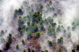 Ratusan Hektare Lahan Riau Sudah Terbakar, Ribuan…