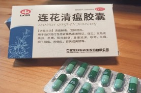 WHO Kaji Potensi Obat Tradisional China untuk Pengobatan…