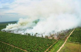 Atasi Karhutla, Riau Tunggu Kiriman Bantuan Helikopter