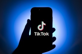 Ini Cara Menghilangkan Filter Rotoscope di TikTok