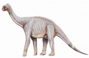 Akhirnya Ditemukan, Fosil Dinosaurus yang Dimusnahkan Asteroid Puluhan Juta Tahun Lalu