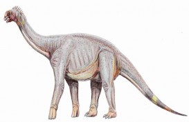 Akhirnya Ditemukan, Fosil Dinosaurus yang Dimusnahkan Asteroid Puluhan Juta Tahun Lalu