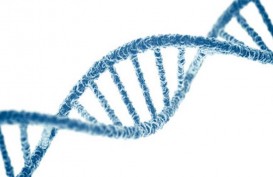 Asaren Gandeng Klinik Ibuku Kembangkan Jasa Tes DNA