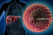 Muncul Kasus Hepatitis Akut Langka dan Misterius di 12 Negara, 1 Anak Meninggal Dunia