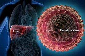 Misterius! WHO Temukan Lonjakan Kasus Hepatitis pada…