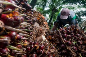 Larangan Ekspor Minyak Goreng Indonesia Goyang Perusahaan…