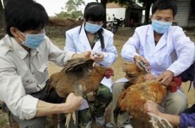 Kasus Flu Burung H3N8 Pertama pada Manusia di China…
