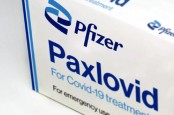 Duh! Pfizer Akui Obat Paxlovid Tak Ampuh Cegah Infeksi Covid-19