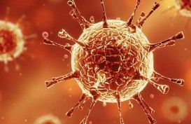 Ilmuwan Sebut 10 Ribu Virus Potensi Timbulkan Pandemi Seperti Covid-19