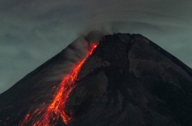 BPPTKG Laporkan Gunung Merapi Alami 154 Kali Gempa…