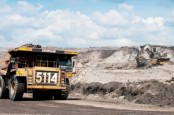 Kinerja HRUM Ditopang Ekspor Batu Bara, Raih Laba Bersih US$62,8 Juta