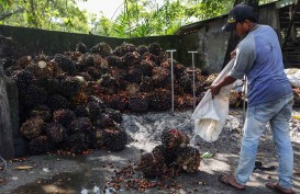 Lapor Pak Jokowi! Tangki CPO di Riau Hanya Bertahan 2 Pekan Lagi